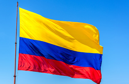Bandera de Colombia Ciruga Plstica